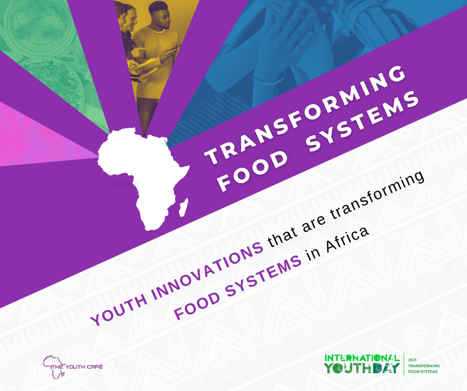 Youth Innovations That Are Transforming Food Systems In Africa — The ...