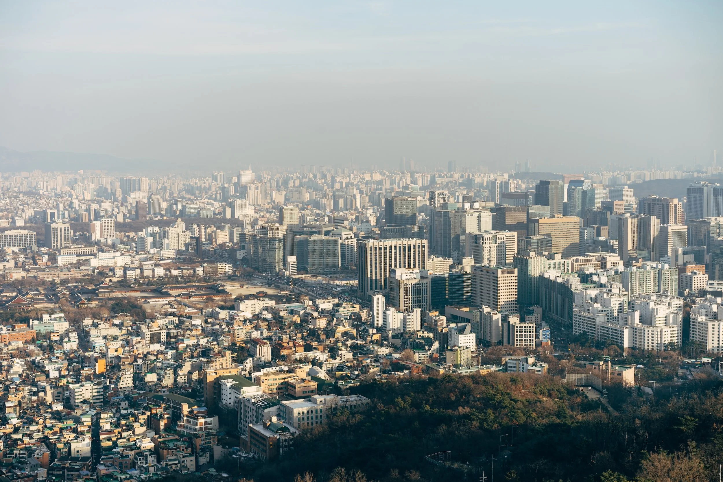 unsplash-image-jRykesI61cE.jpg