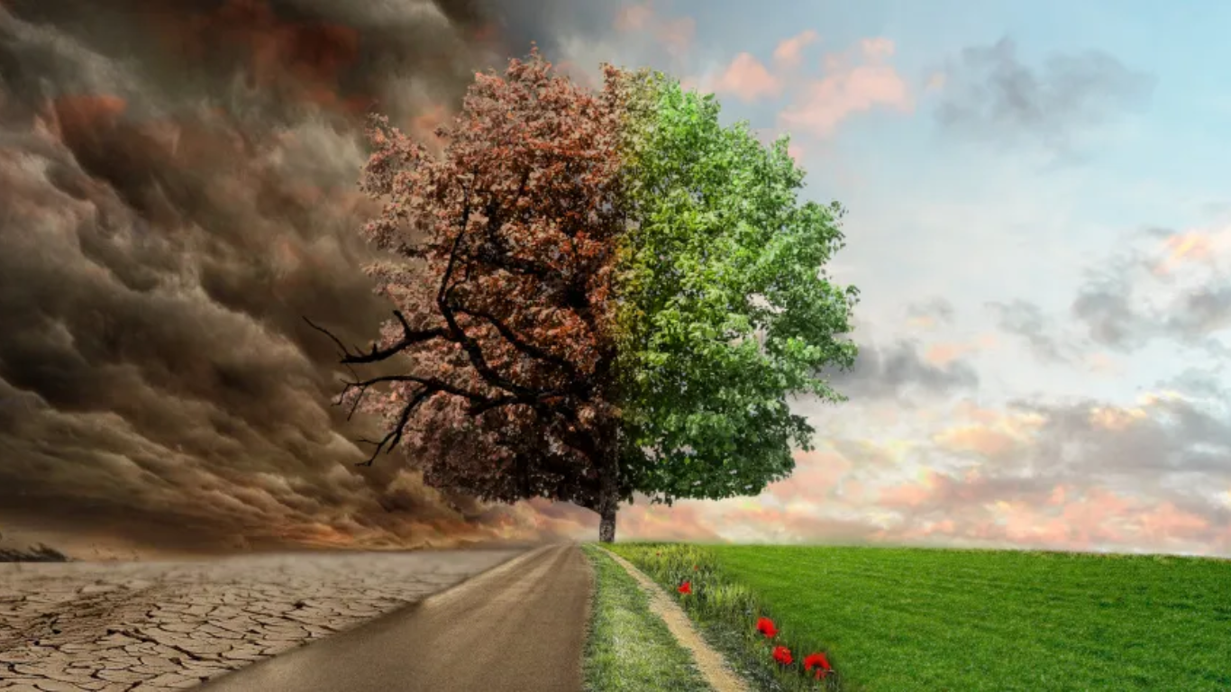 Climate Adaptation & Low Carbon Housing | Using Technology to Solve ...