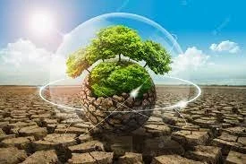 Global Recovery From  COVID-19 Pandemic | Solving Climate Crisis