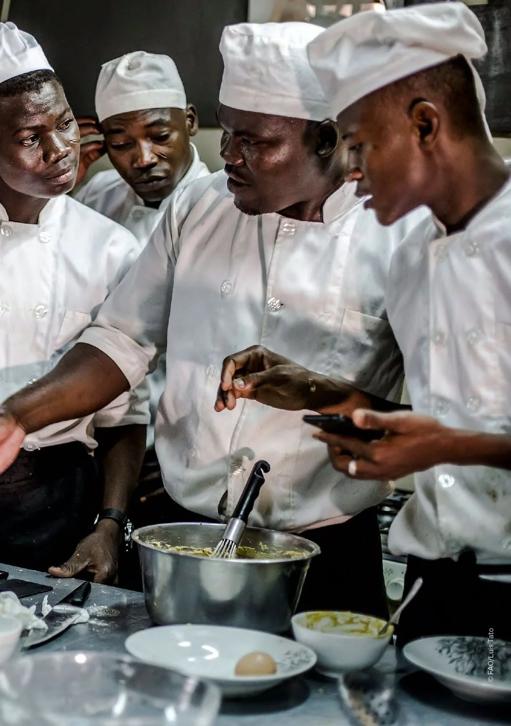 Investment Guidelines For Youth In Agrifood System In Africa