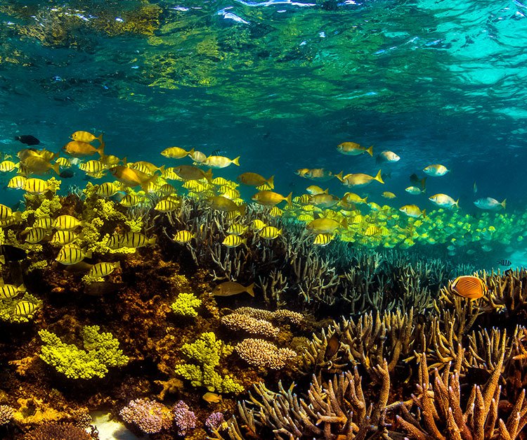 under water.jpg