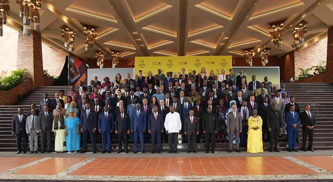 The African Union adopts ten-year strategy And Action Plan To Transform Africa's Agri-food Systems And Ensure Food Security