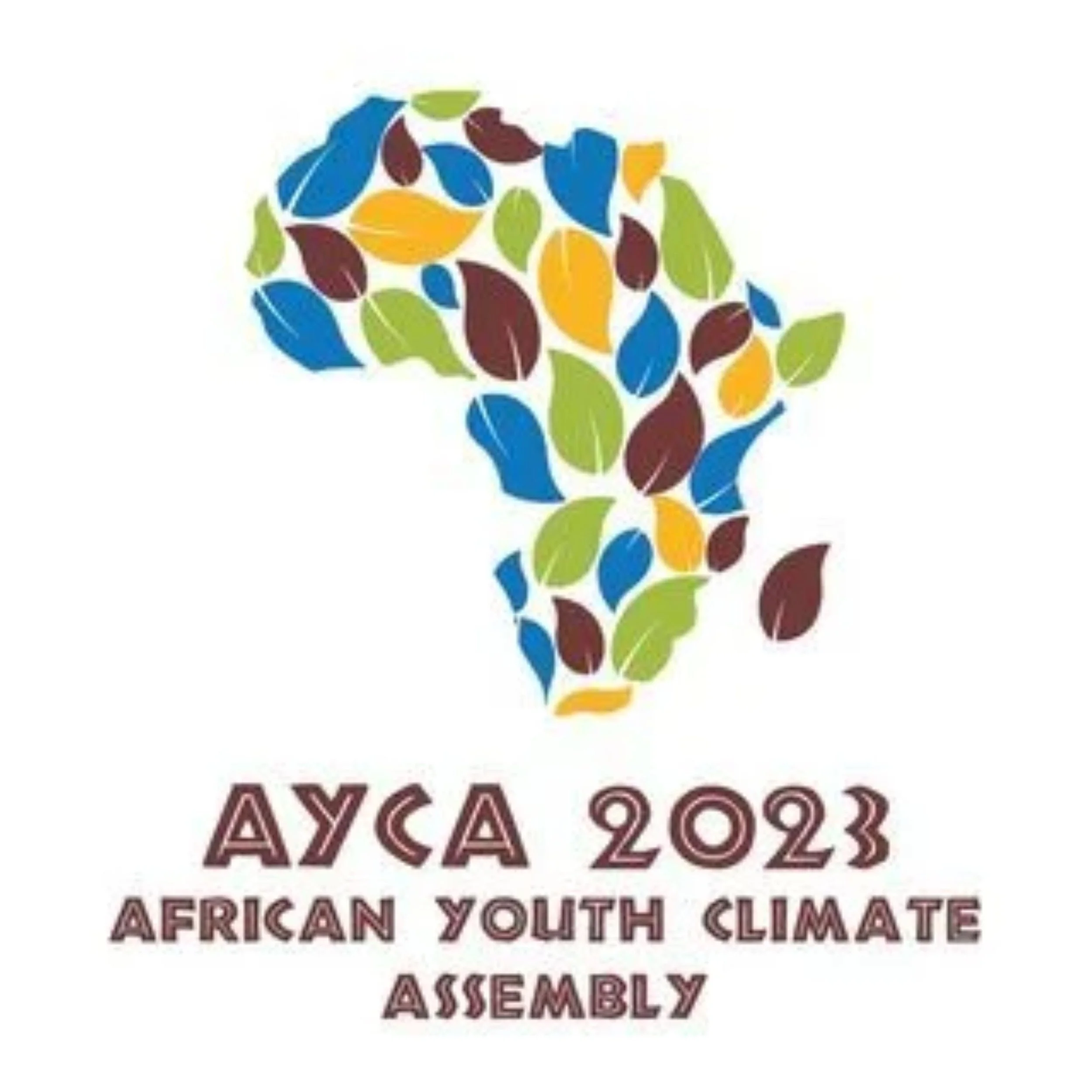 African Youth Climate Assembly 2023 Declaration — A Light Bulb of Youth ...