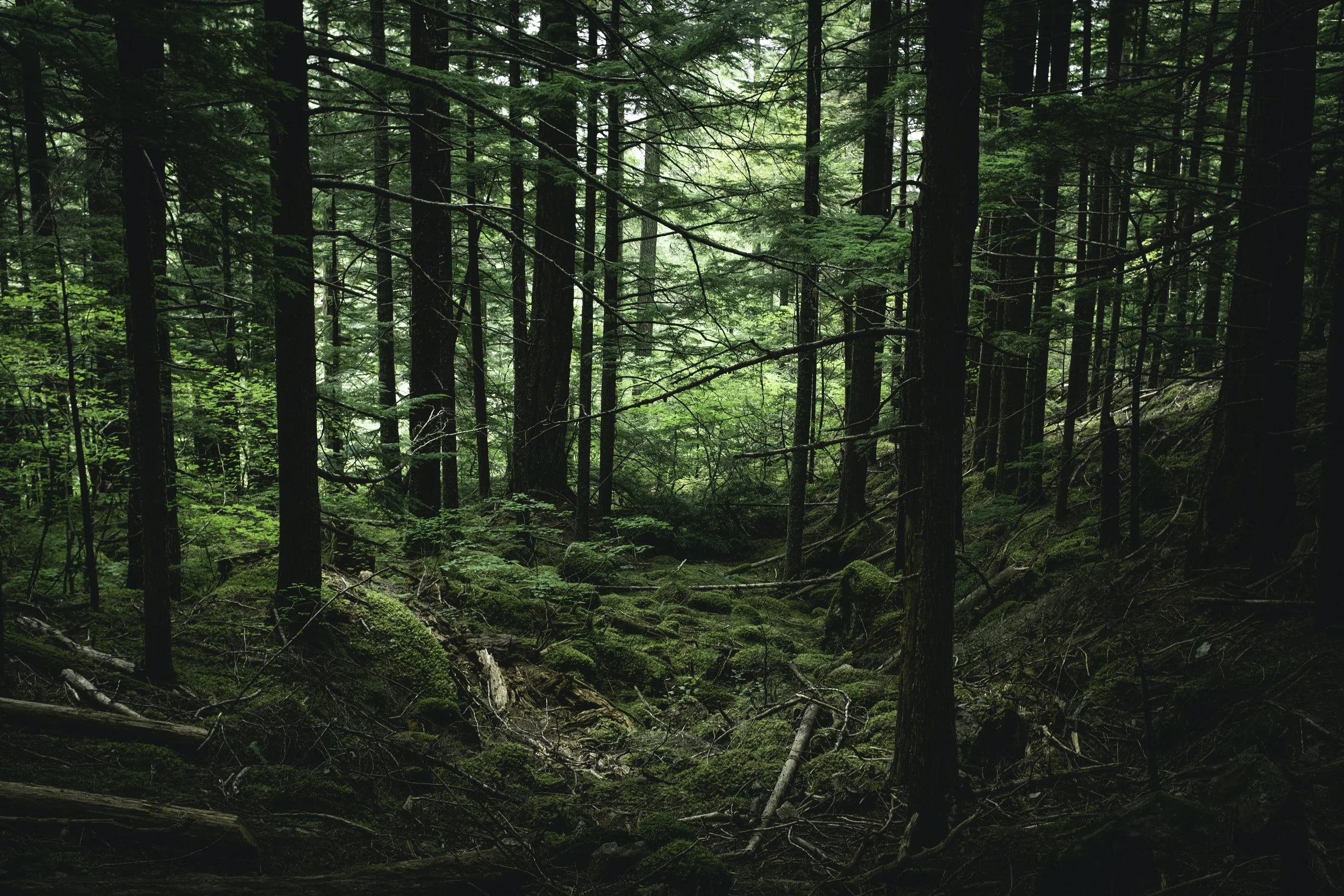 unsplash-image-GZpKVHIEjy4.jpg