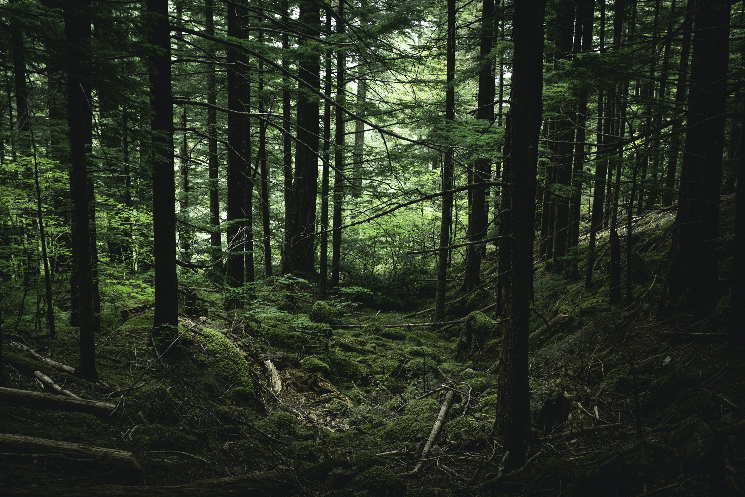 unsplash-image-GZpKVHIEjy4.jpg