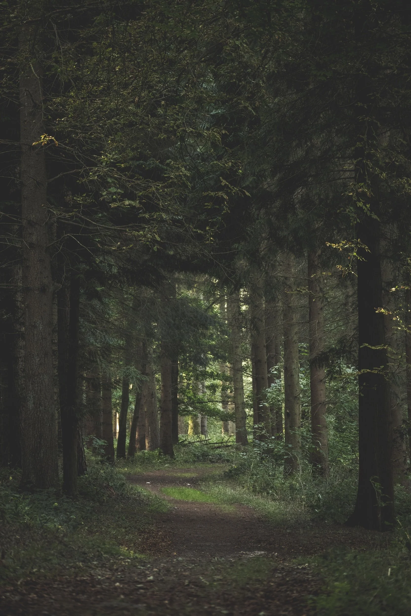 unsplash-image-uwSJ-NY_a14.jpg