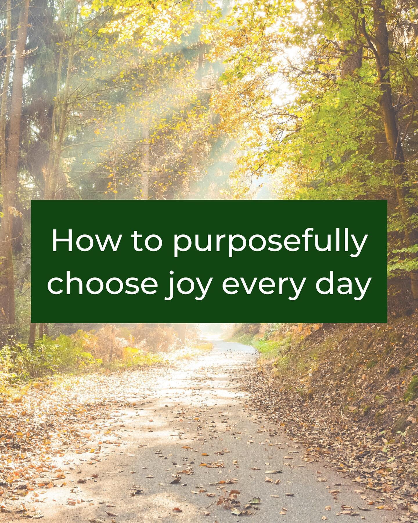The power of purposefully choosing joy is incredible.

And I am passionate about supporting you to purposefully choose joy every day - in a way that is authentic to you. 

But first, let's start with understanding what joy is:

Joy is often associate