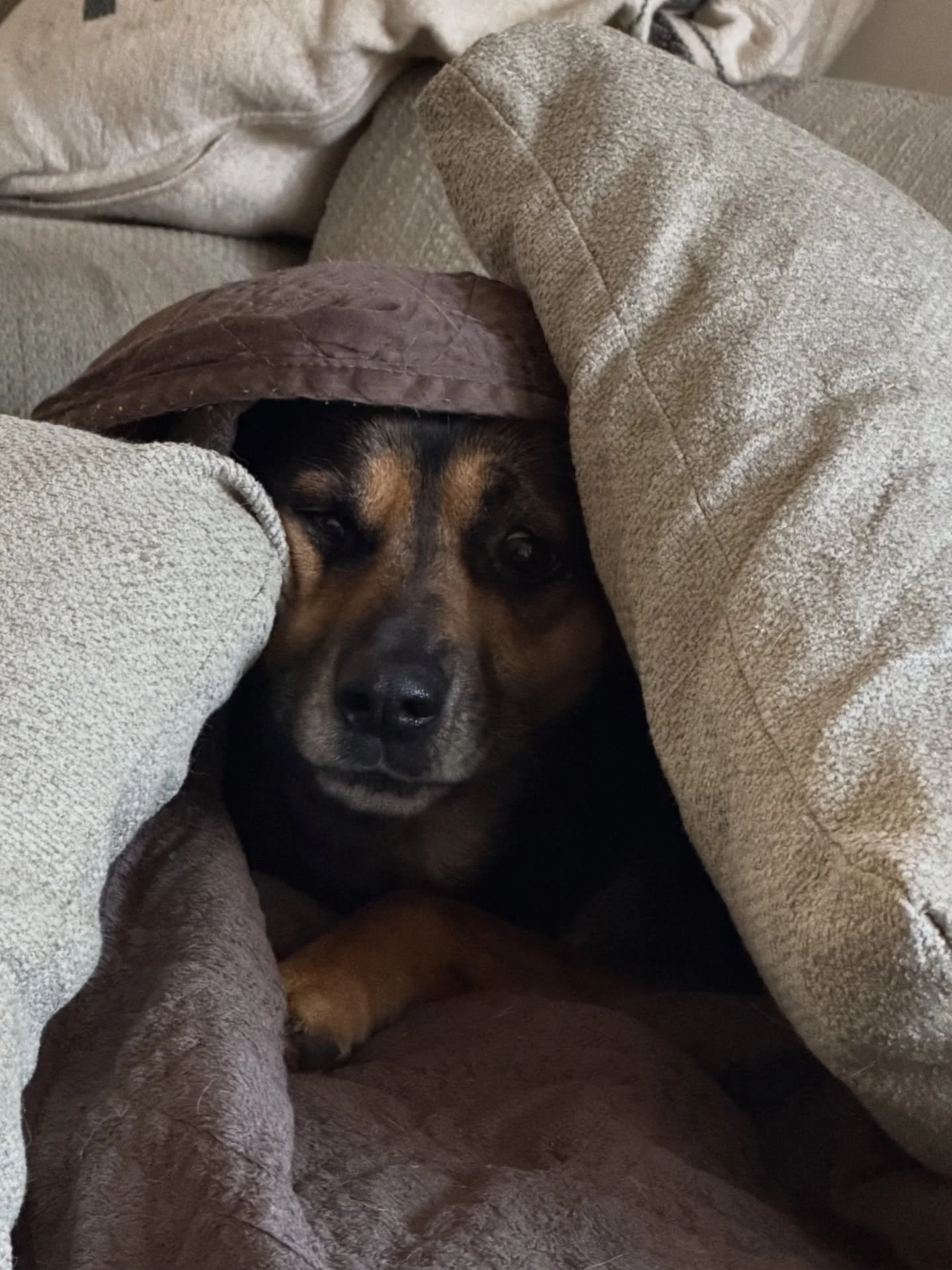 If you&rsquo;re feeling like this today, I hope you can find some gentle presence with the simple joys in the now. 

I had my annual crap night&rsquo;s sleep before the start of work for the year. My mind full with a big task I&rsquo;m kicking off to