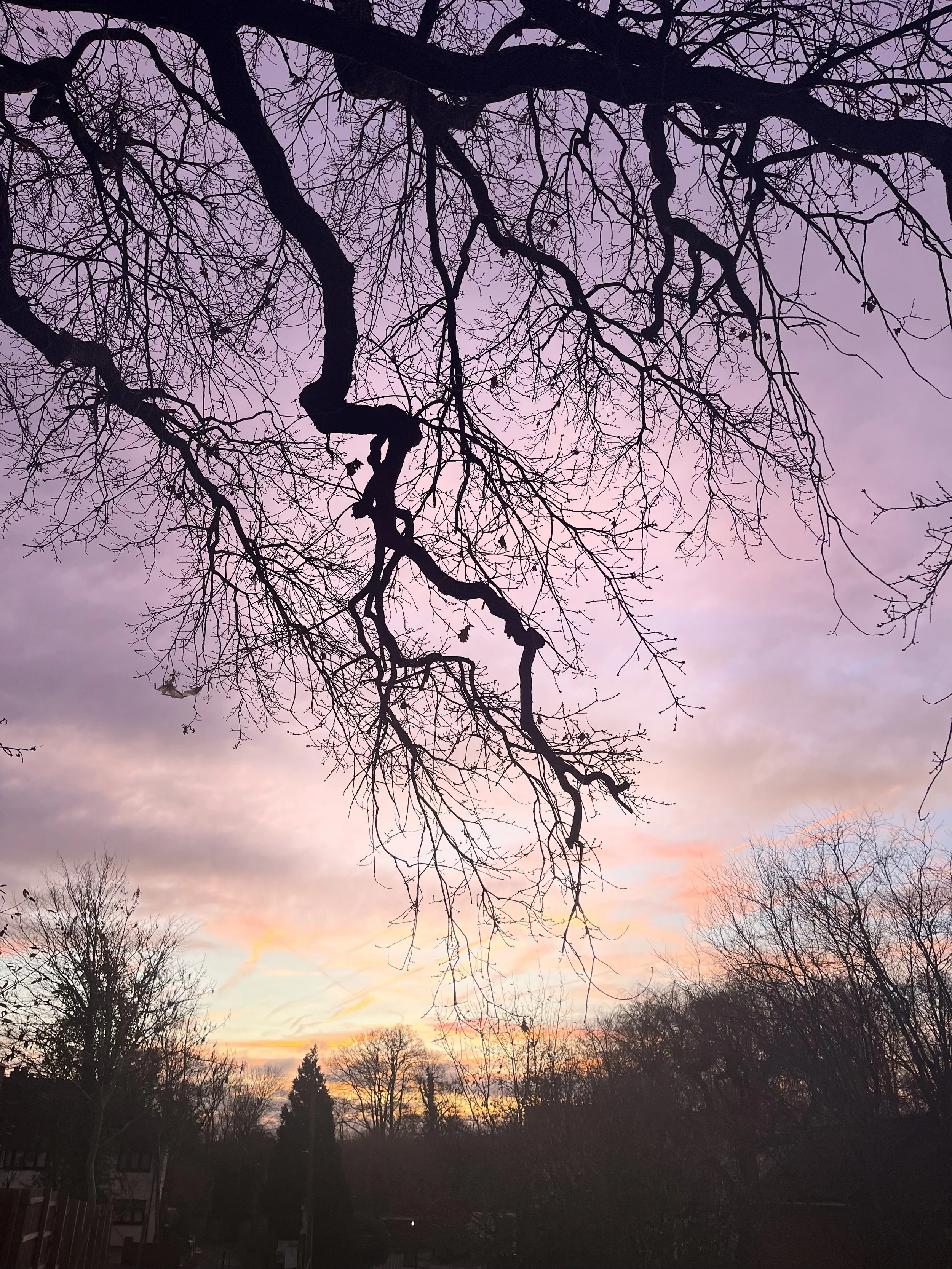 Polishing our Seeds of Intention Journal Prompts