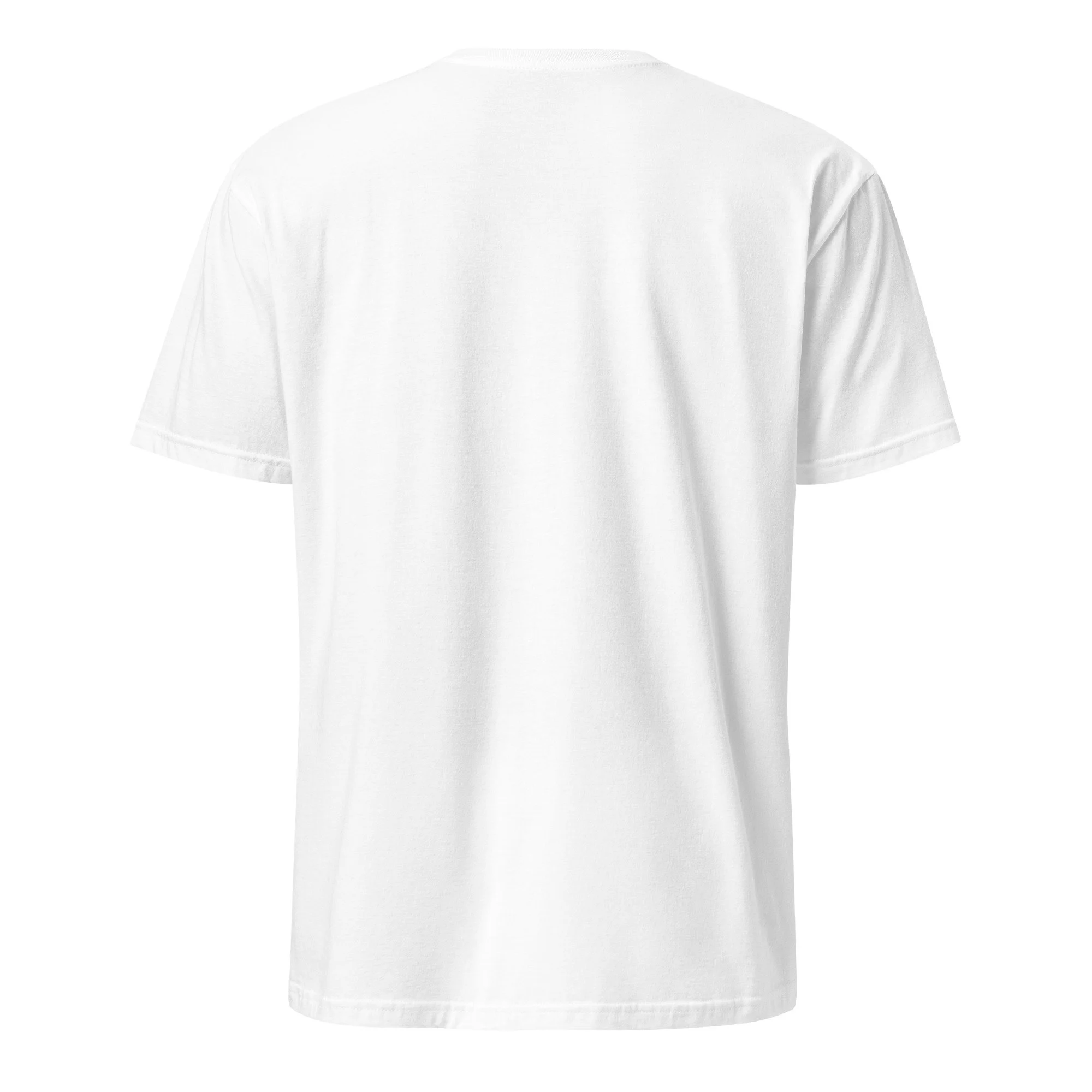 unisex-basic-softstyle-t-shirt-white-back-69e49cc9dc95d.jpg