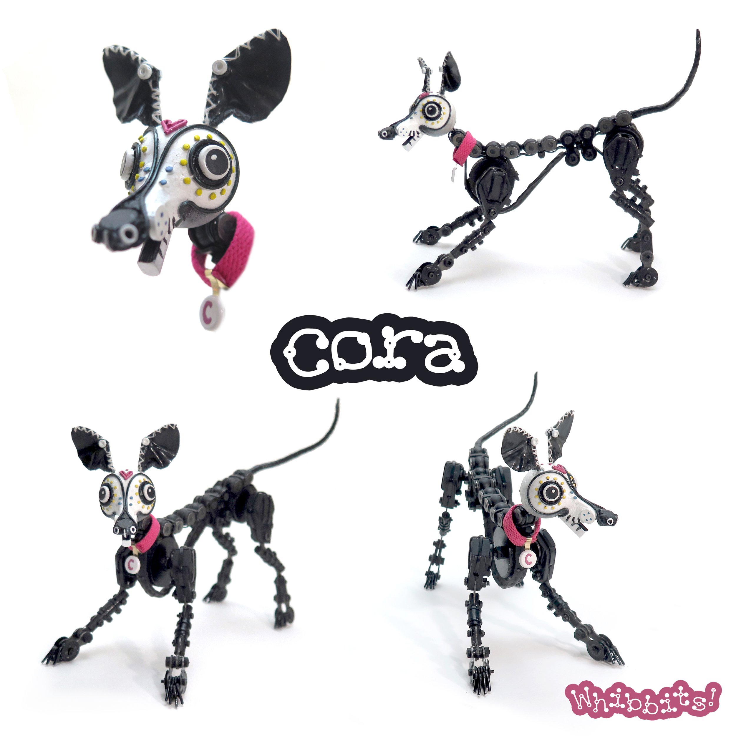 cora body4.jpg