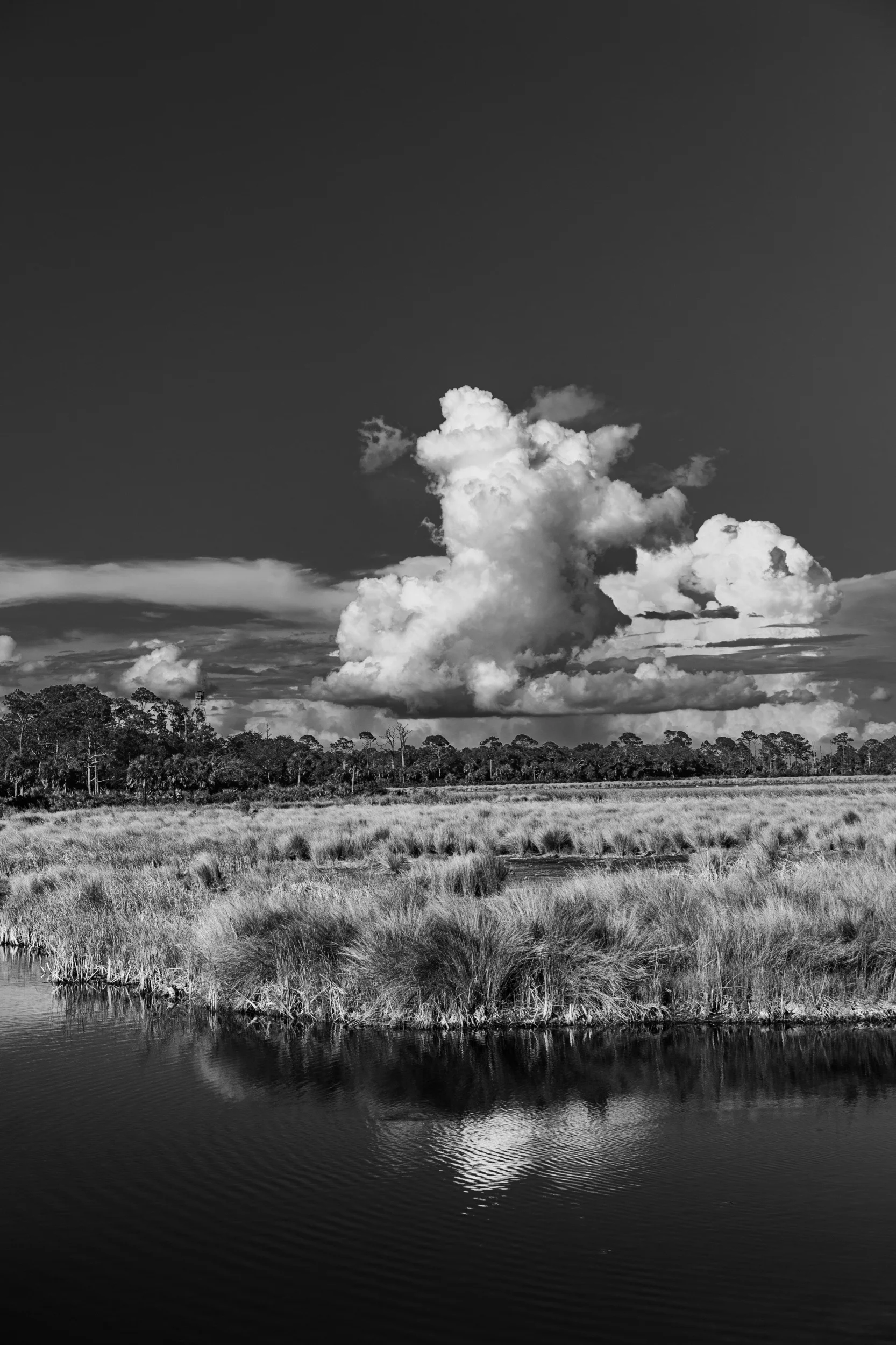 Saint Marks National Wildlife Refuge