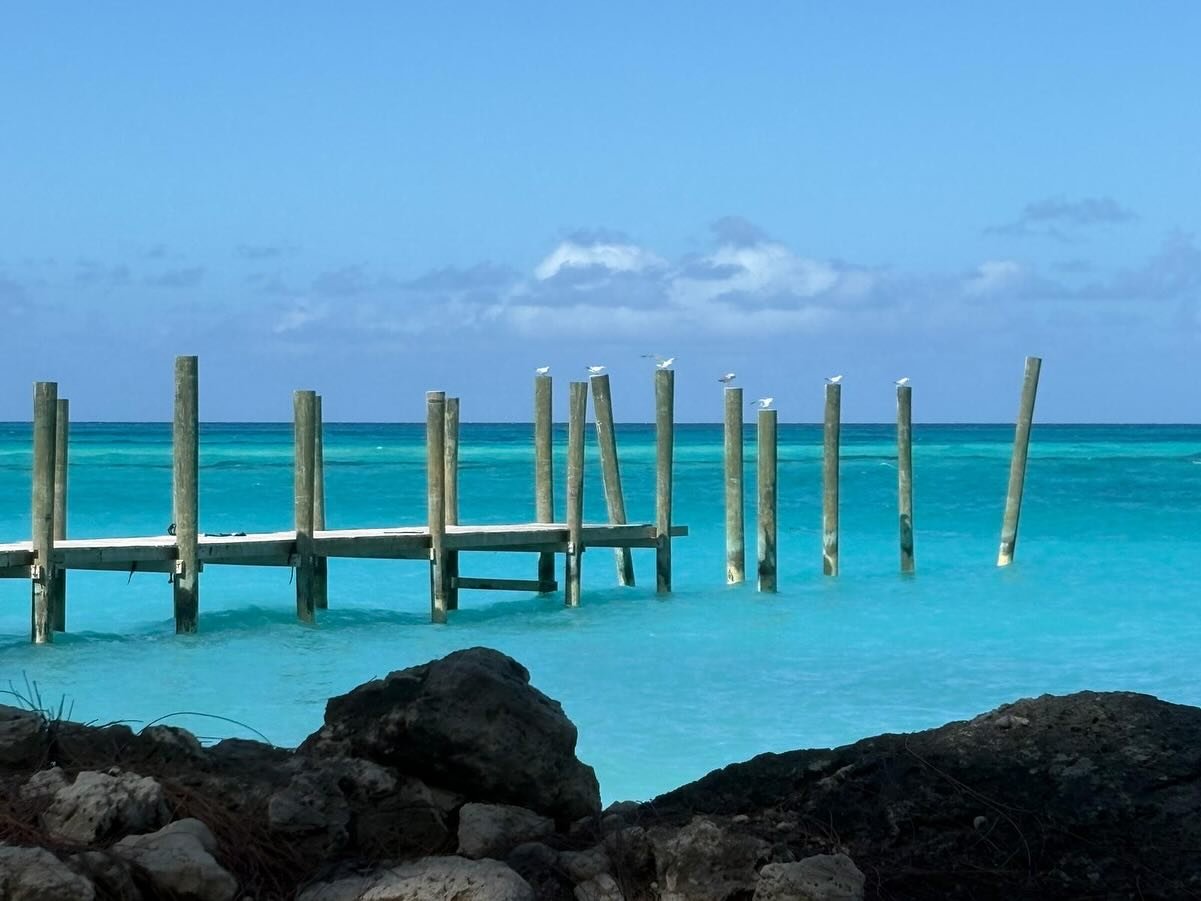 Blog #4 of #travelswithspirit about my 6 month travel adventure is out now!
And so I am downsized from my job while on the road. It was a shock for sure. Life is presenting opportunities, and I need to readjust and pivot. But the stress of not havi