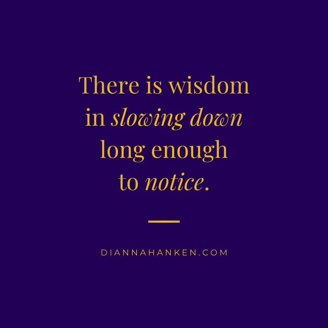 Some invitations don't arrive with fanfare.

They arrive in quiet moments...
A walk,a deep breath, a conversation, a pause long enough to notice what we've been missing.

These three reflections come from this week's essay, Invitations to Pause. My h