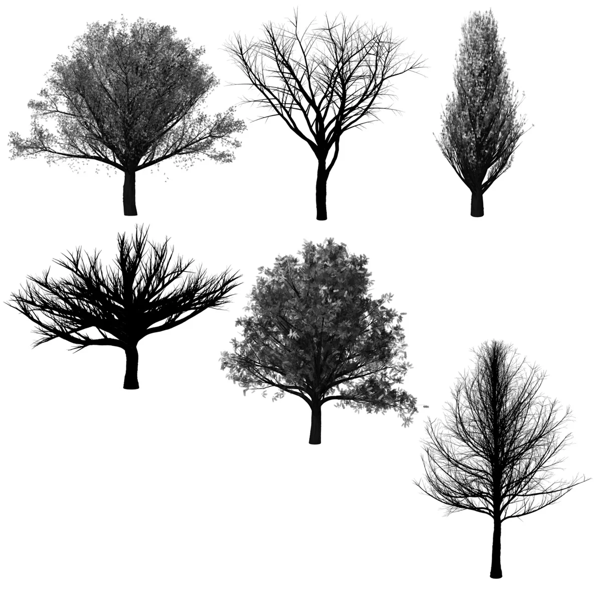 2015 Tree Brushes