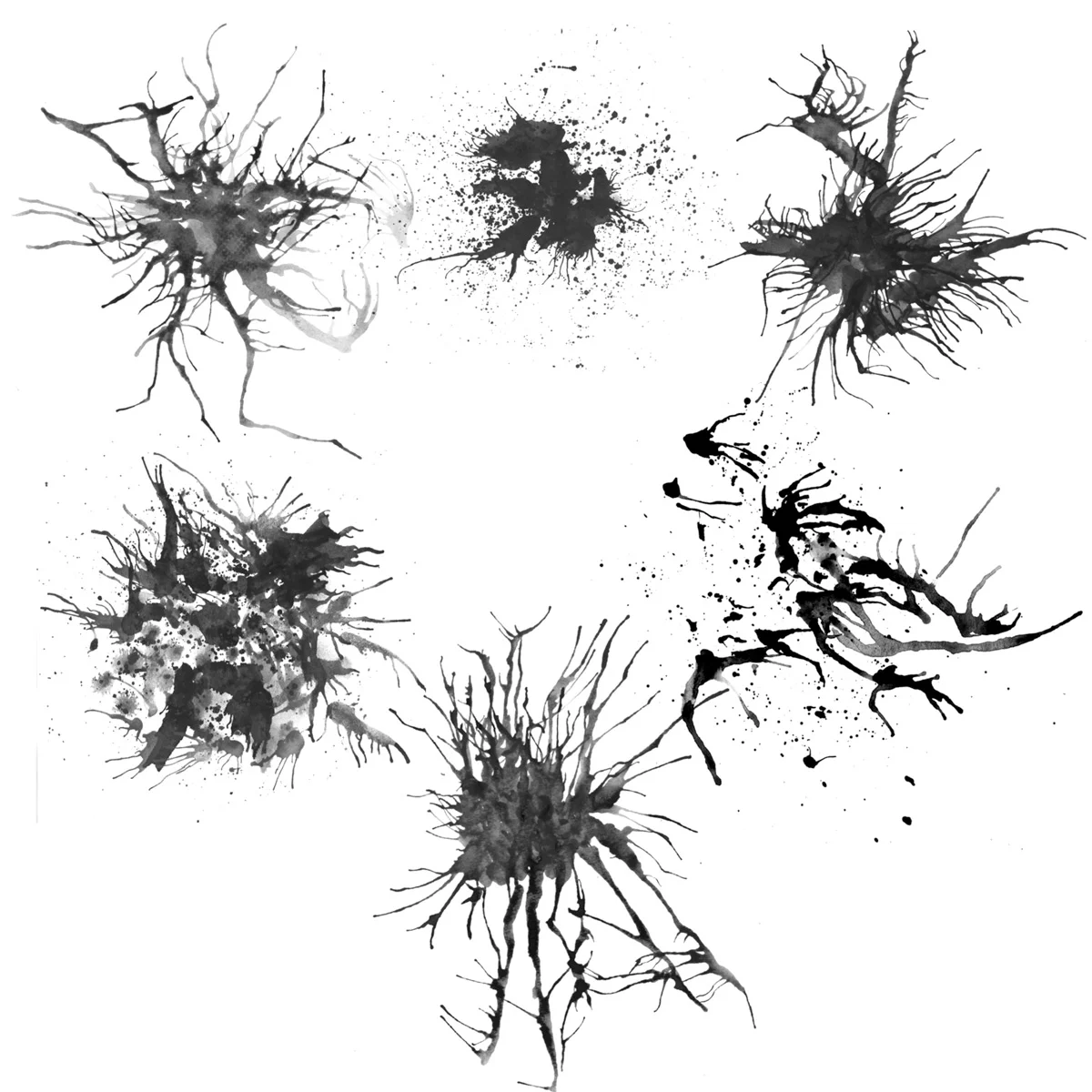 Watercolor Blot Brushes