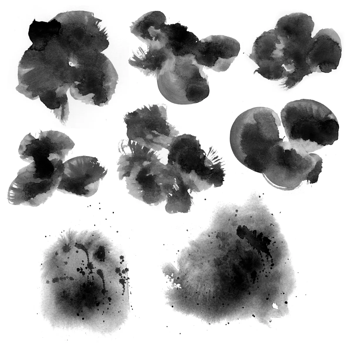 Waters of 2019 Vol 2