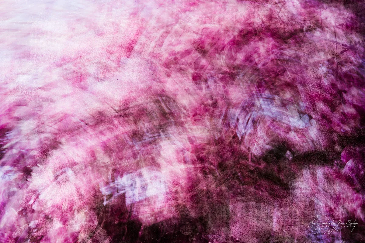 Climbing the Magnolia Tree