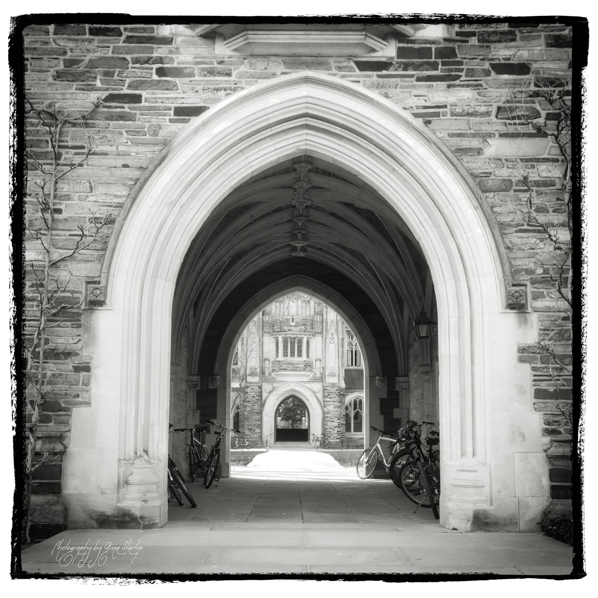 Arch at Princeton