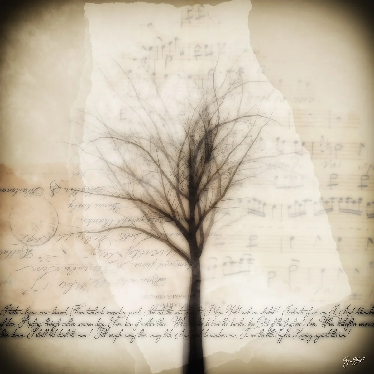 TreeTransformedP.jpg