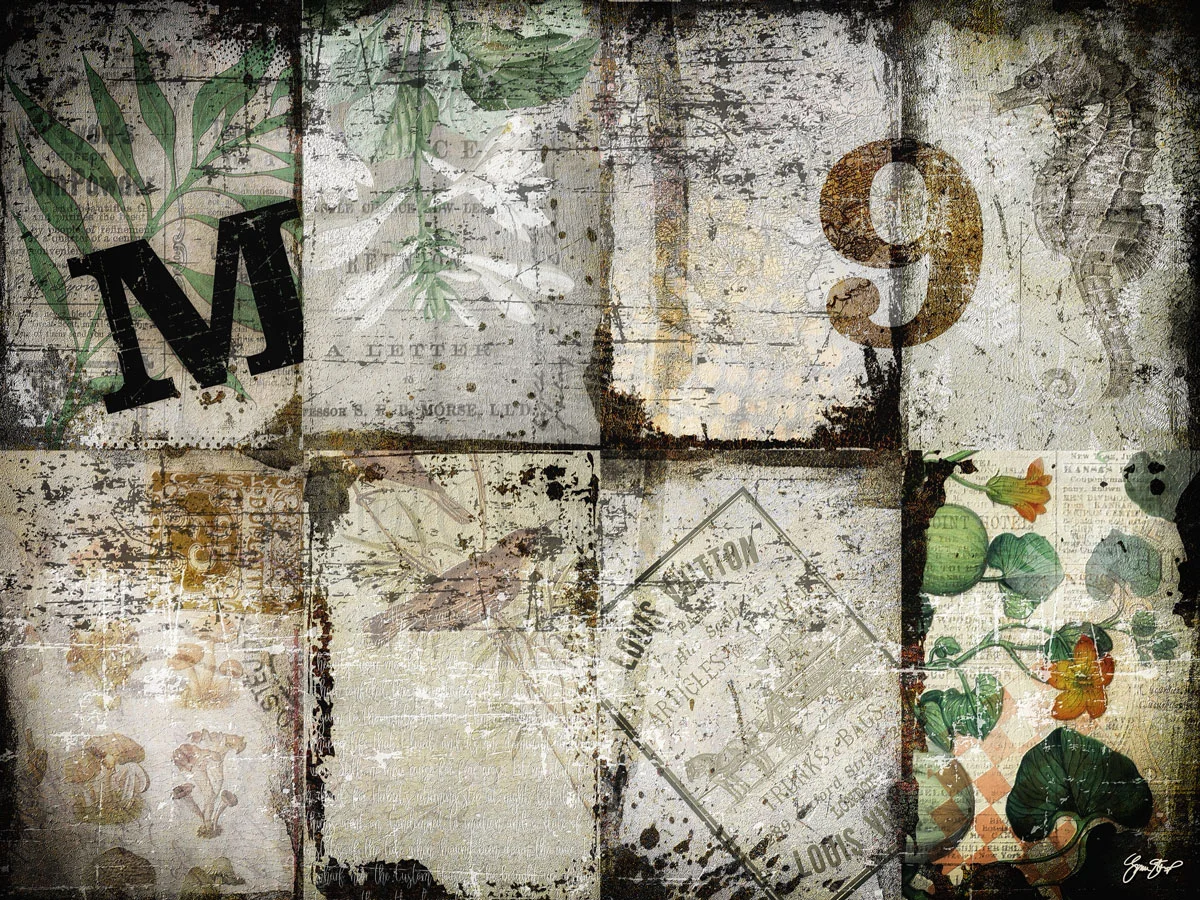 Lots of Windows &amp; Doors