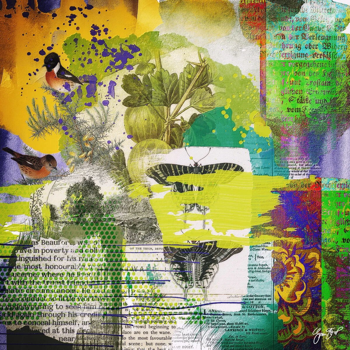 A Stroll Through the Forest 