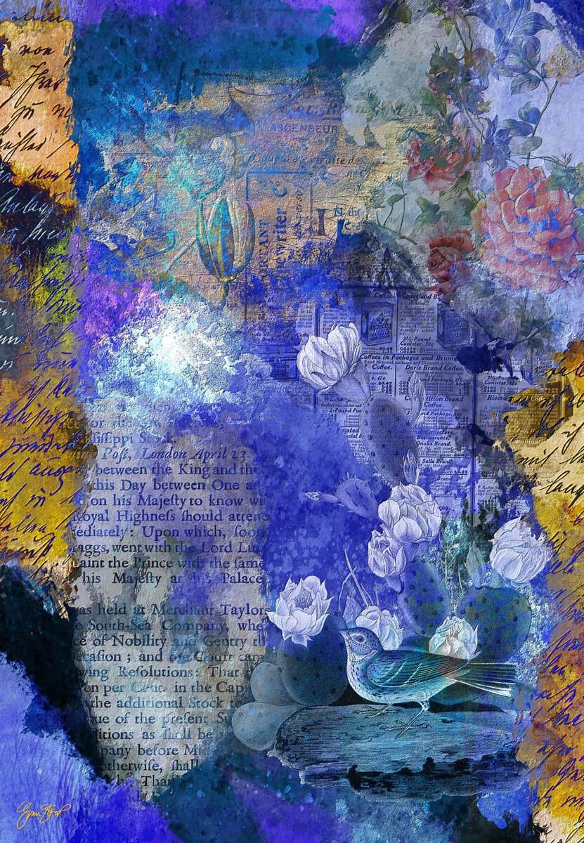 Bird Sitting on a Rock