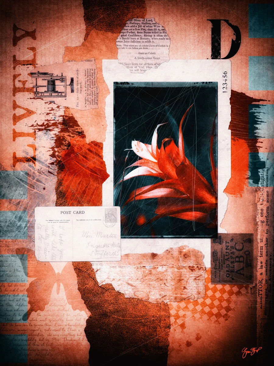 Lively Color