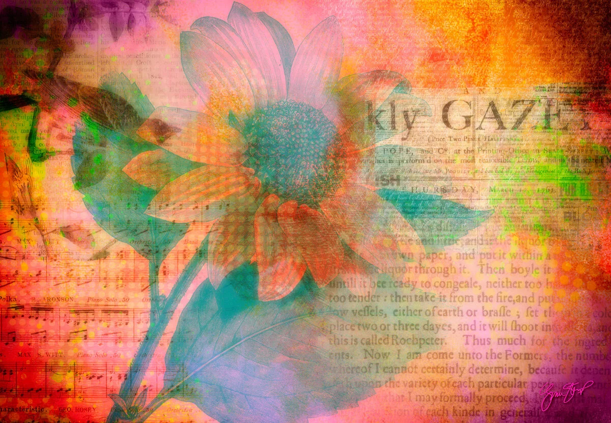 TheSunflowerSongP.jpg