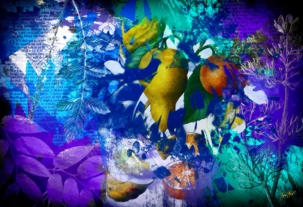 Night Walk Through the Garden