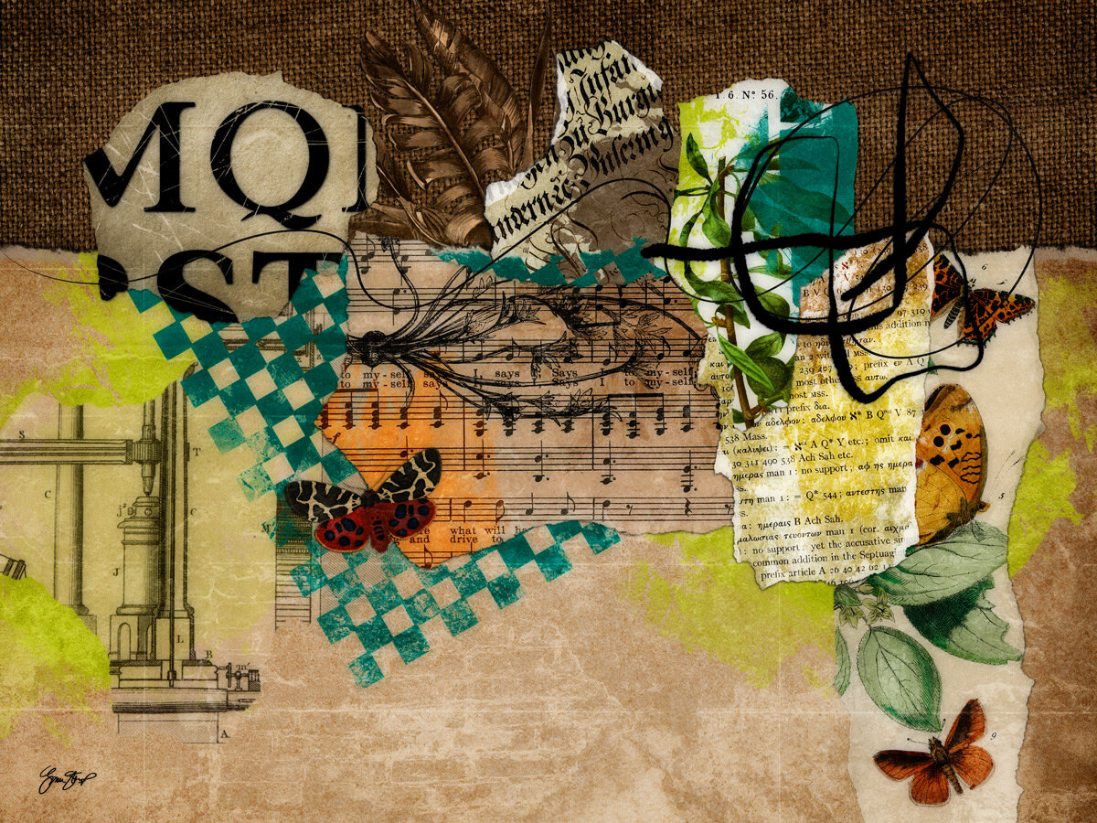 Butterflies in the Attic