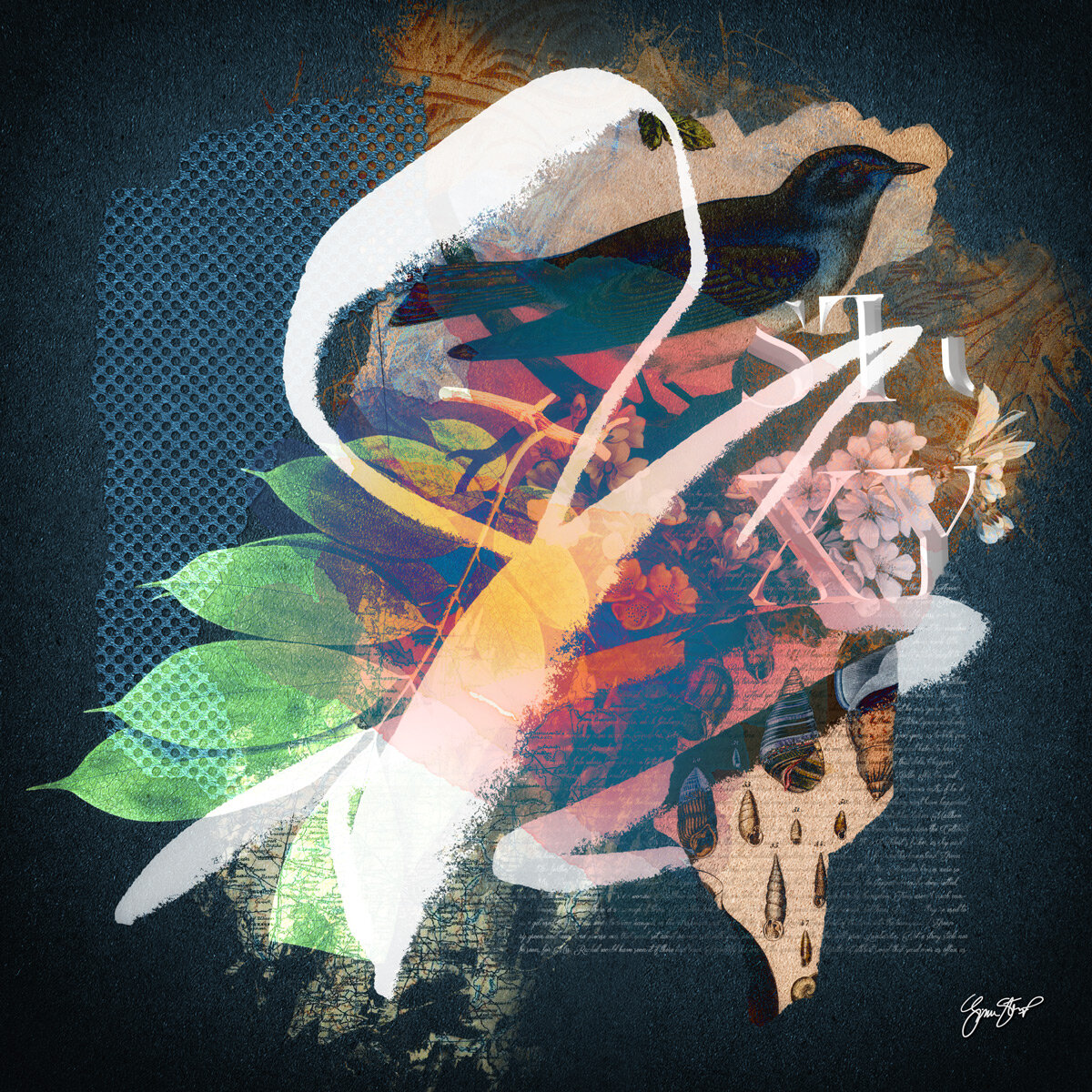 Dreams of a Blue Bird