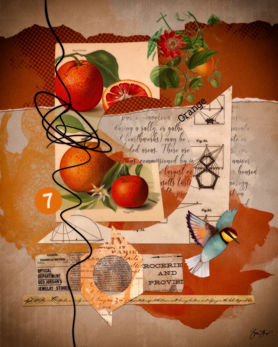 Blue Bird in the Orange Tree