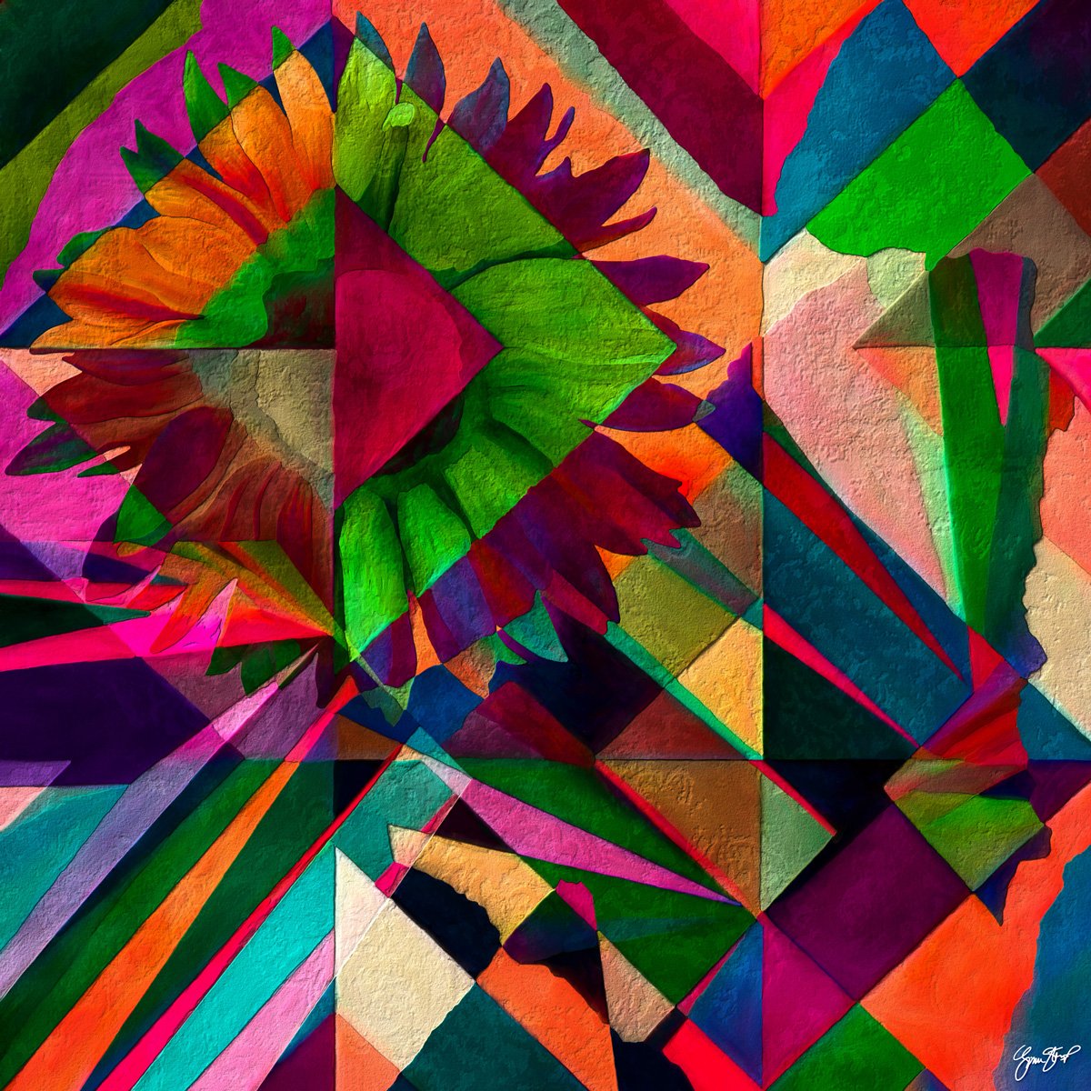 Color Rays On Sunflower