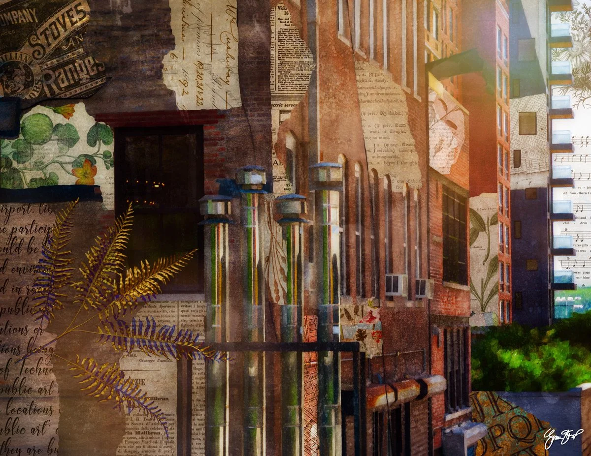 ViewFromHighLineP.jpg