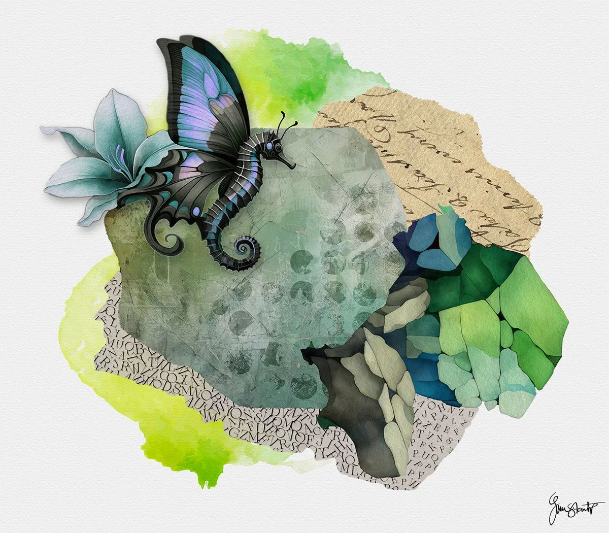 Dreams of a Seahorse