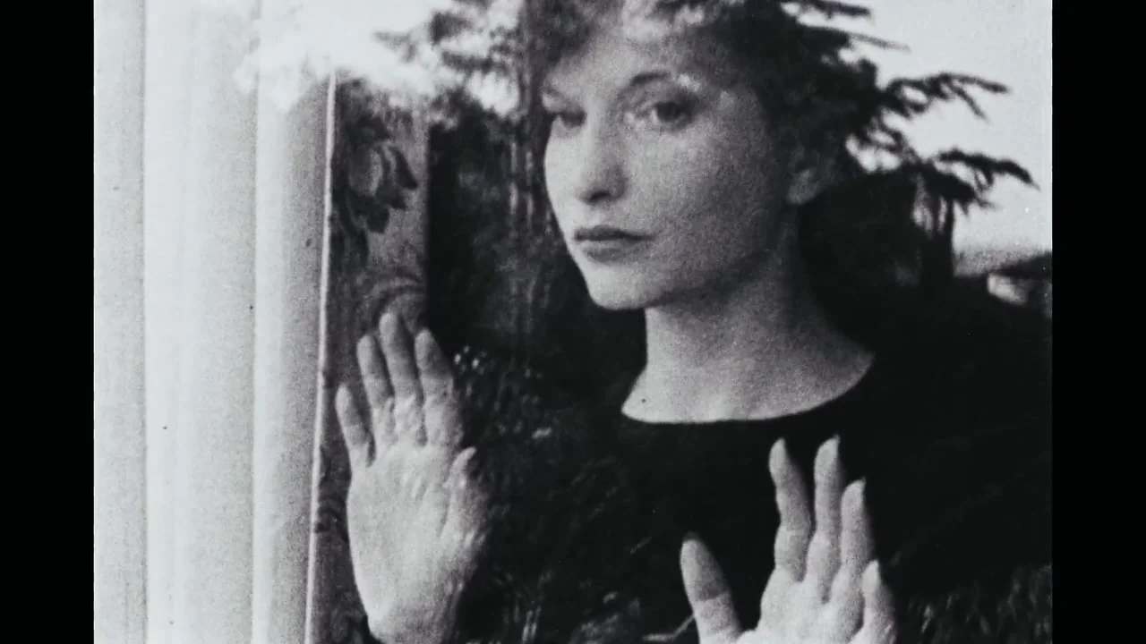 Twenty of the Greatest Female Directors of All Time