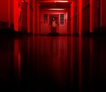 Scary Stories to Tell in the Dark