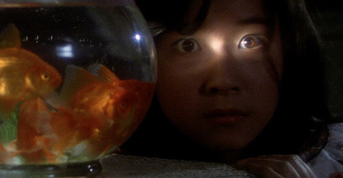 House: the film where even goldfish are menacing, possibly.