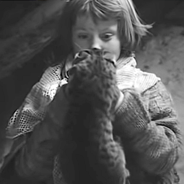 The Unfortunate Truth of Animal Cruelty in Film