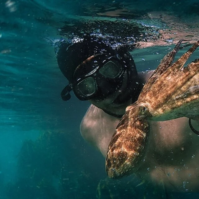 My Octopus Teacher