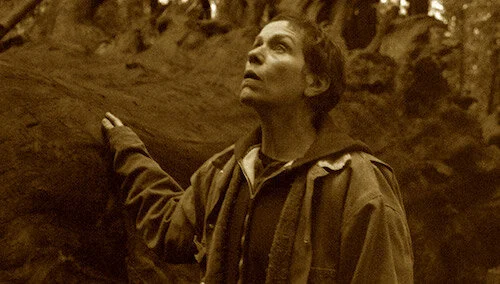 The fusion of real testimonies and the fictional tale makes Nomadland a relevant, empathetic feature.