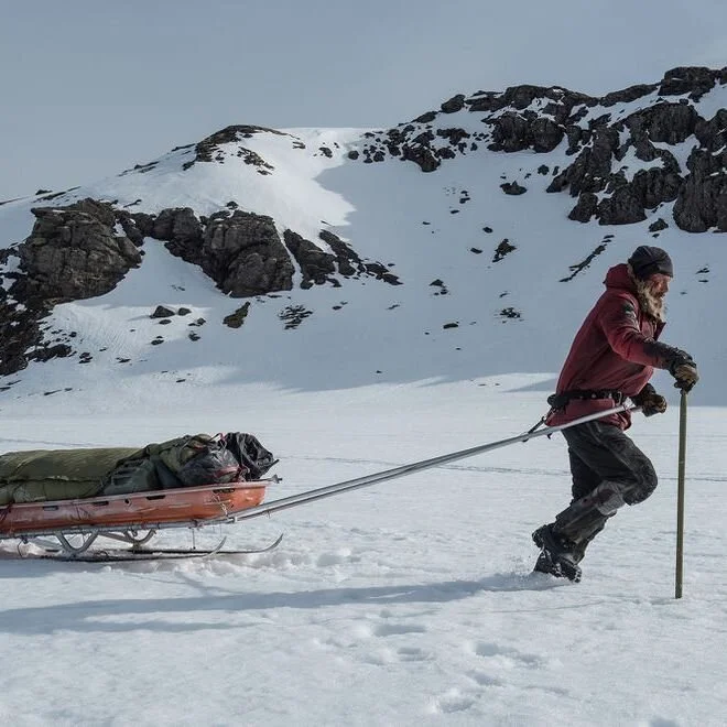 The World of Movies: Arctic