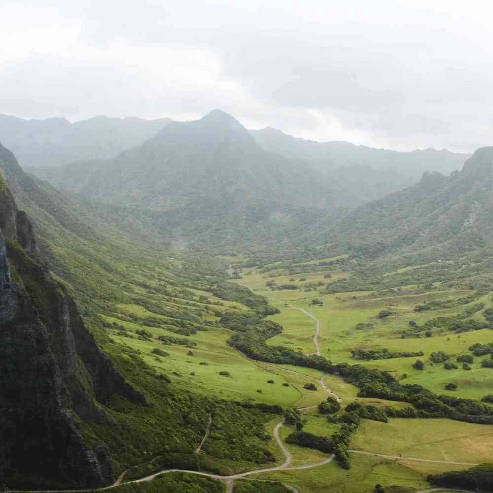 Lost: Perfect Reception