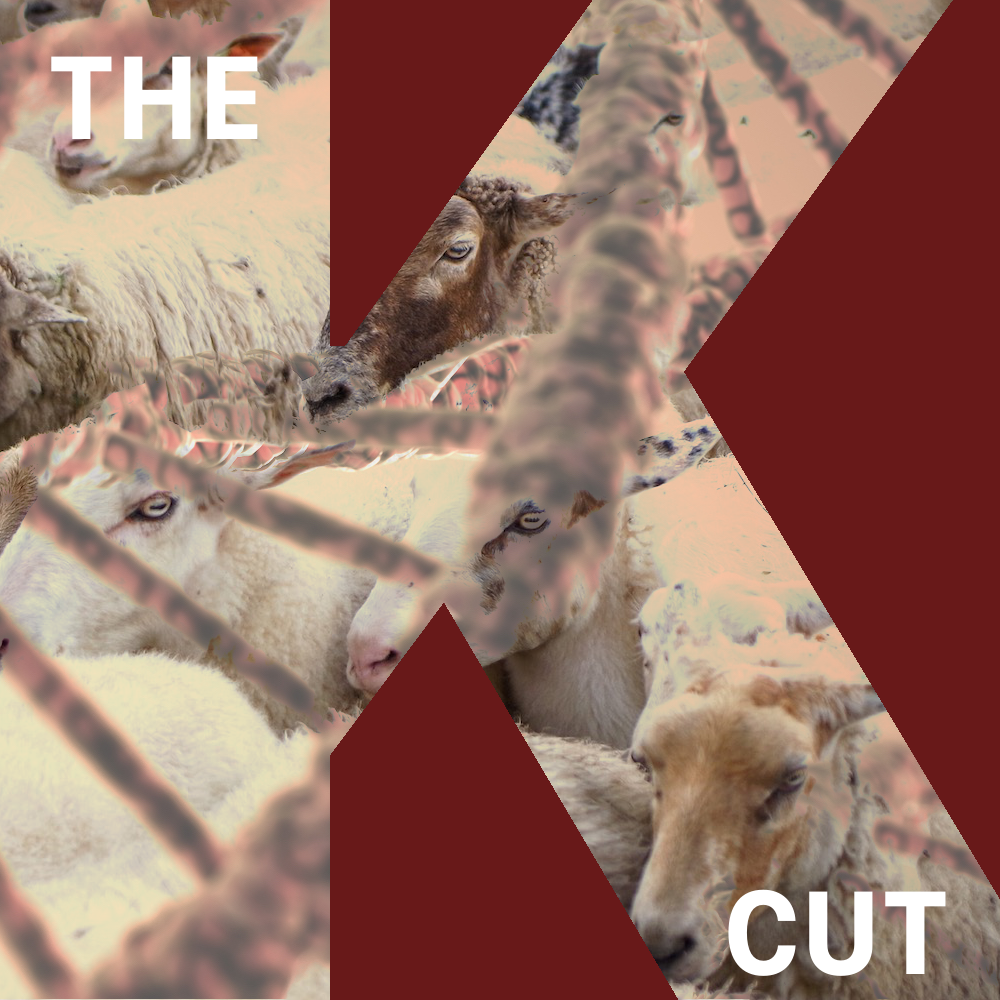 The K Cut Episode 52: Copycats