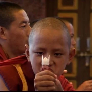 The World of Movies: The Cup 