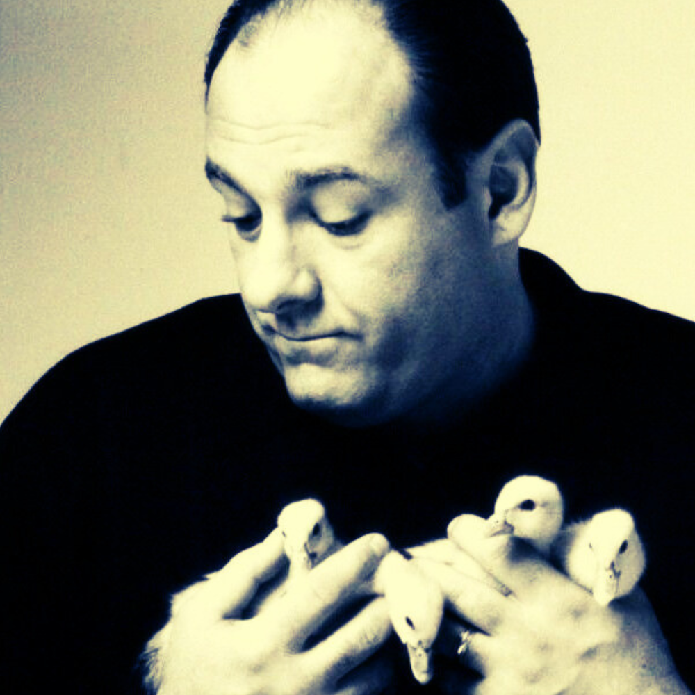 The Ethos of James Gandolfini's Tony Soprano