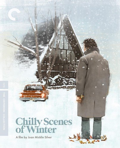 chilly scenes of winter