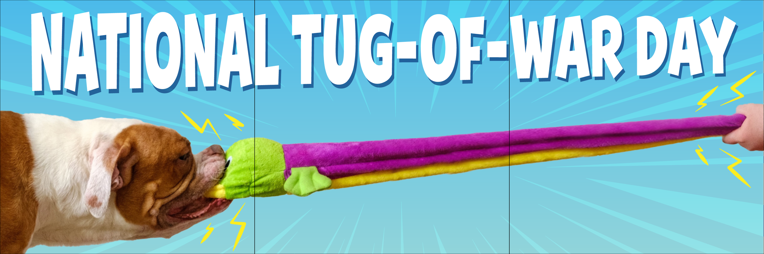 National Tug of War Day